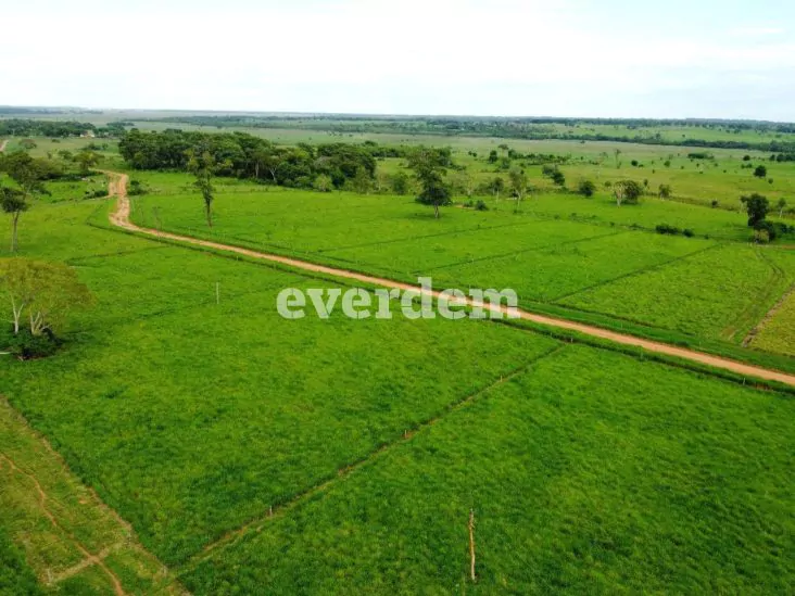 Establecimiento de 1.394 hectáreas en Unión – San Pedro 3