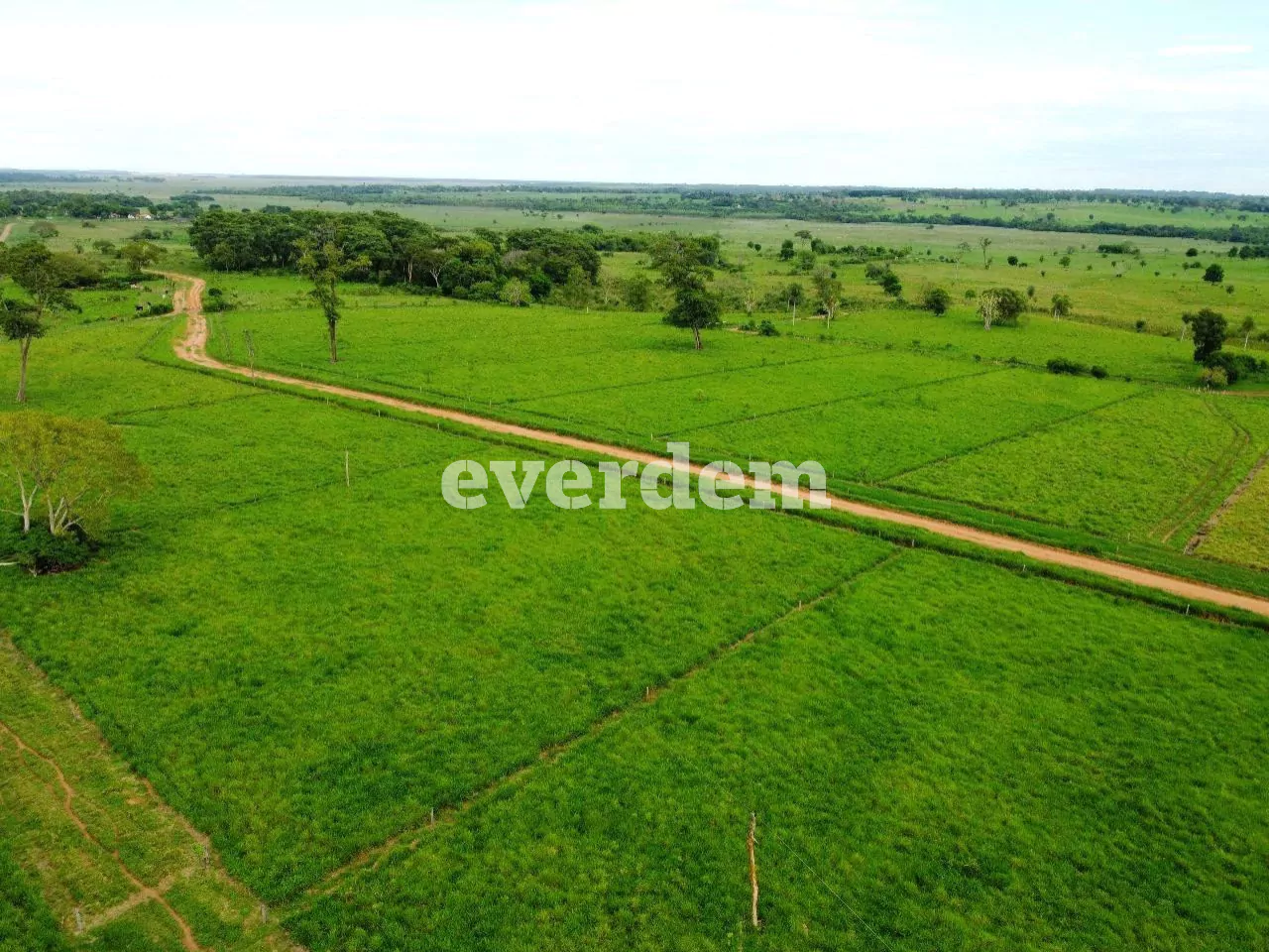 Untitled Project (2)