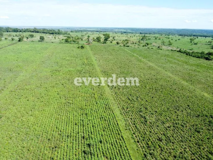 Establecimiento de 1.394 hectáreas en Unión – San Pedro 0