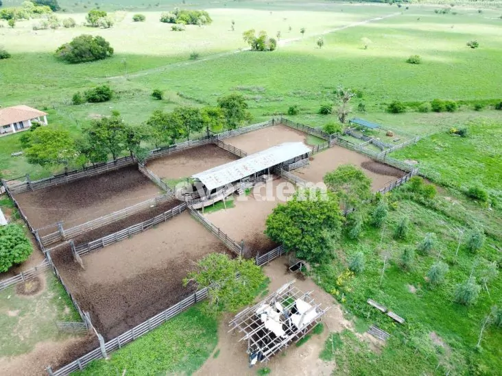 Establecimiento de 1.394 hectáreas en Unión – San Pedro 5