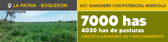 Banner Ref 576 A 800 X 200