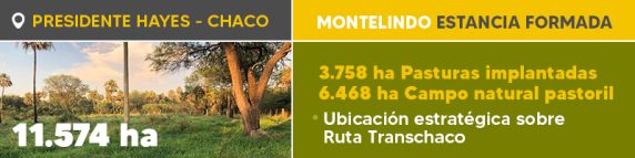 Banner Boletin Ref. 1103 Montelindo 800x200