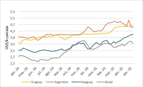 Precio Del Novillo En Mercosur