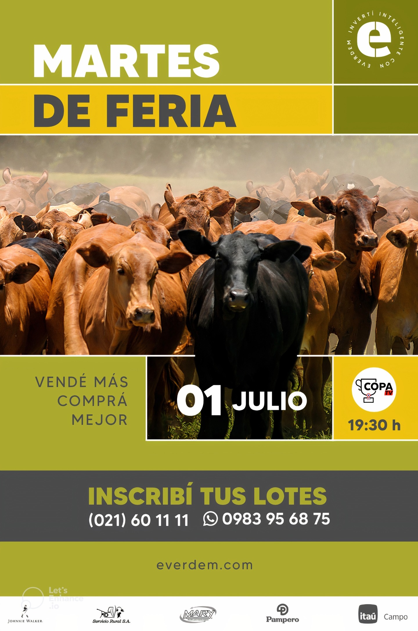 Martes De Feria 1 7