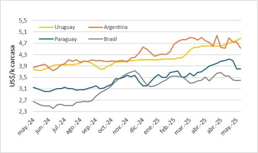 Precio Del Novillo En Mercosur