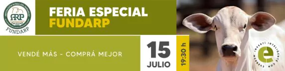 Everdem Feria Fundarp 15 Julio Banner