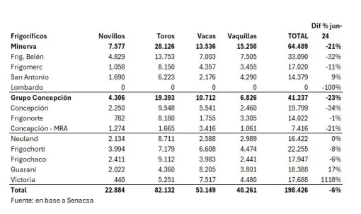 Faena De Vacunos Por Planta Junio De 2025