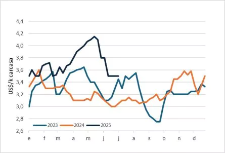 Macho Gordo En Paraguay