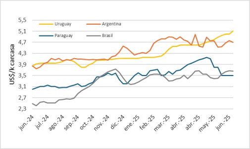 Precio Del Novillo En Mercosur