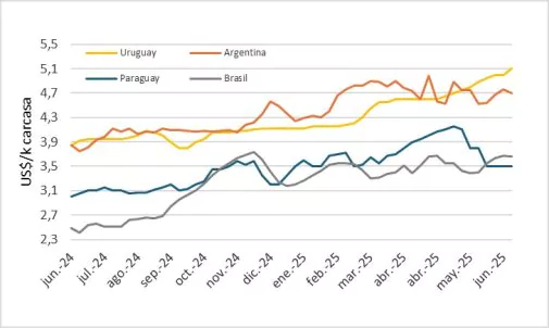 Precio Del Novillo En Mercosur