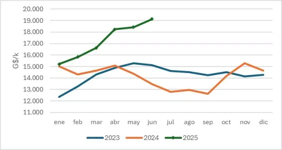 Precio Del Ternero En Paraguay