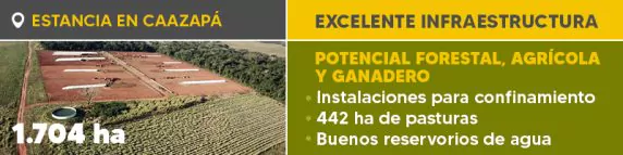 Ref1230 Caazapa 800x200 Boletin (1)