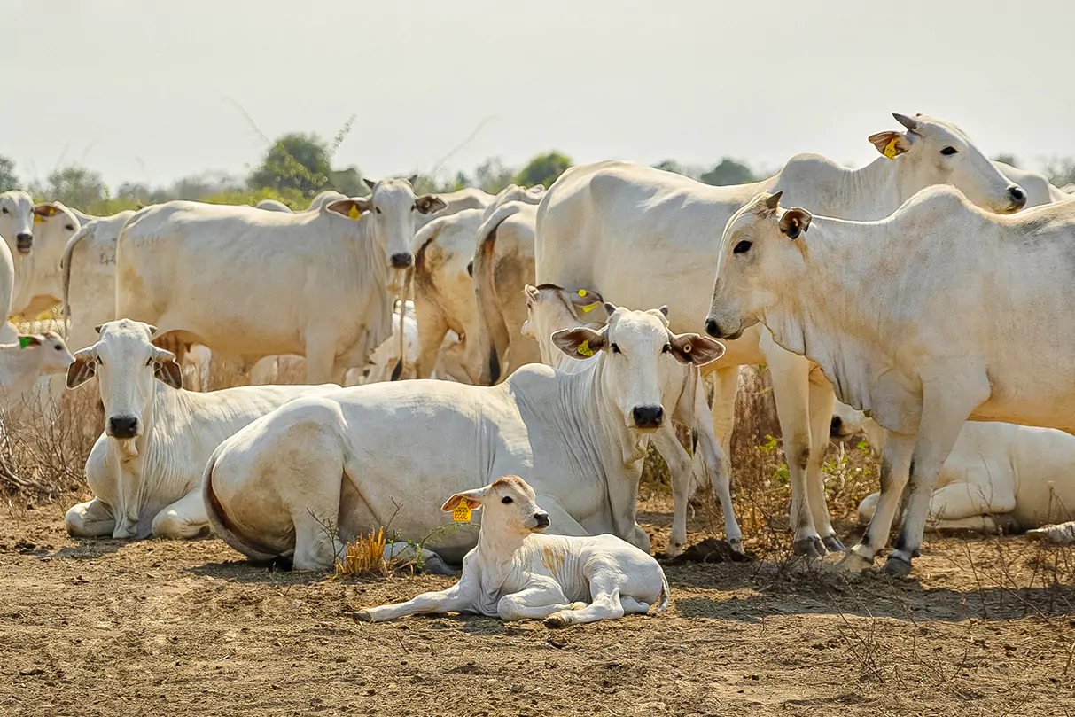 Tapa Edicion65 Web (1) (1)