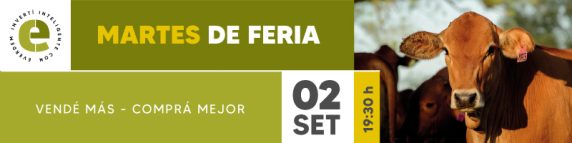 Everdem Feria 02set Banner (1)