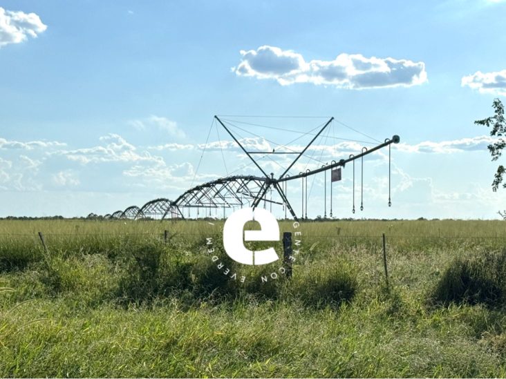 Establecimiento de 16.264 ha en Tte. Enciso – Boquerón 5
