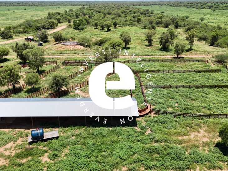 Establecimiento de 16.264 ha en Tte. Enciso – Boquerón 0