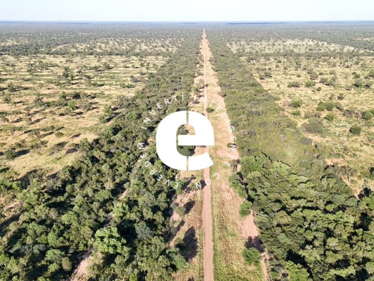 Establecimiento de 16.264 ha en Tte. Enciso – Boquerón 4