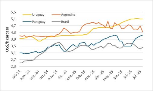 Precio Del Novillo En Mercosur