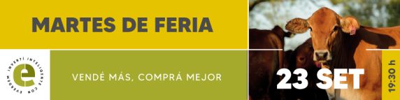 Everdem Feria 23set 800x200