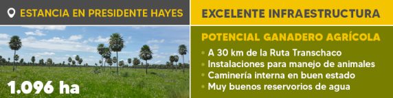 Banner Boletin Ref. 1241
