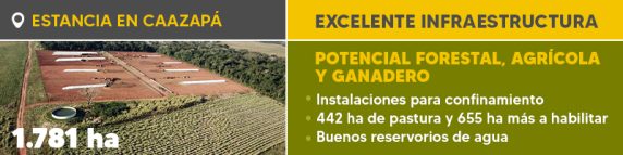 Banner Boletín Ref. 1230 Taruma 1