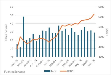 Exportaciones De Carne Vacuna