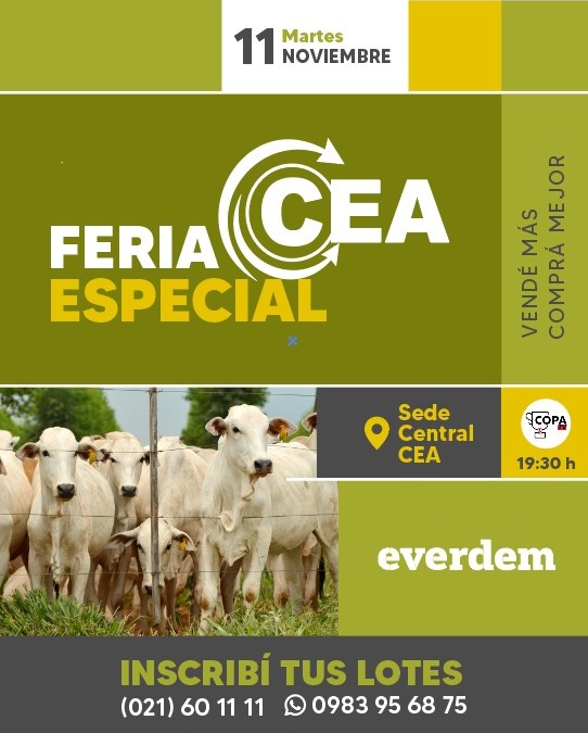 Feria Cea 11 Noviembre