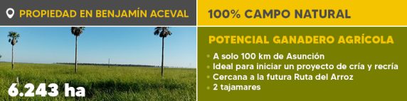 Banner Boletín Ref. 1240