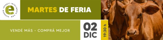 Everdem Feria 02dic Banner