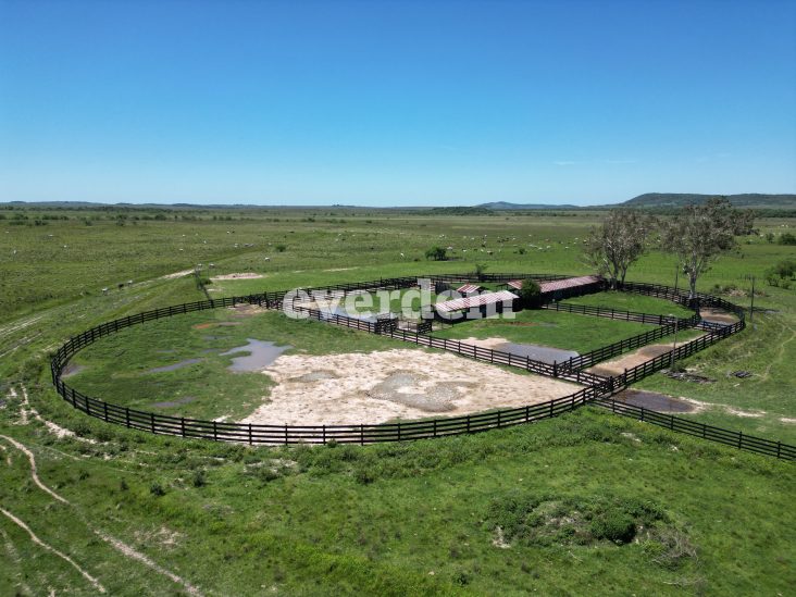 Establecimiento de 6.810 hectáreas en Caapucú 1