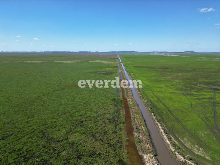 Establecimiento de 6.810 hectáreas en Caapucú 3