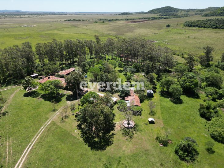 Establecimiento de 6.810 hectáreas en Caapucú 0