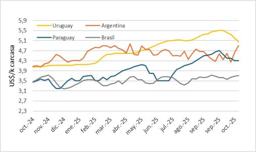 Precio Del Novillo En Mercosur