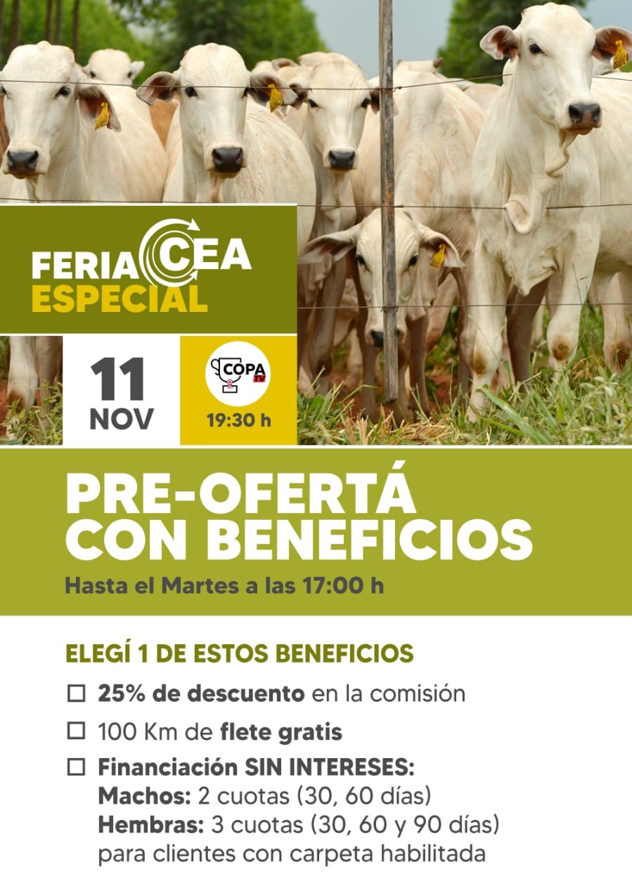 Preoferta Cea