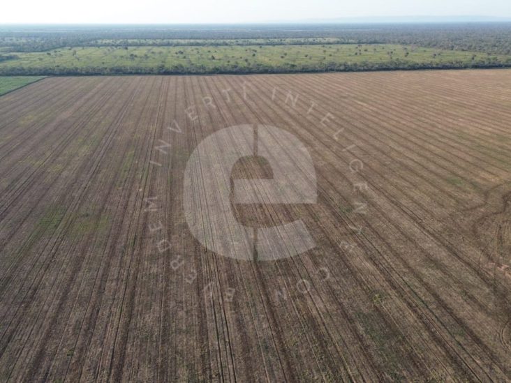 Establecimiento de 5.050 hectáreas en 4 de Mayo – Boquerón 2