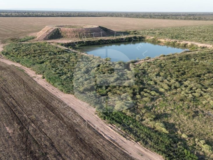 Establecimiento de 5.050 hectáreas en 4 de Mayo – Boquerón 0