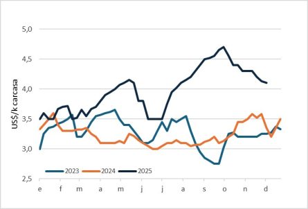 Macho Gordo En Paraguay