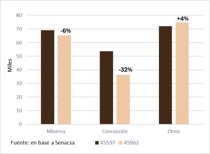 Paraguay Faena De Vacunos En Noviembre