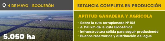 Ref. 647b 4 De Mayo 800x200