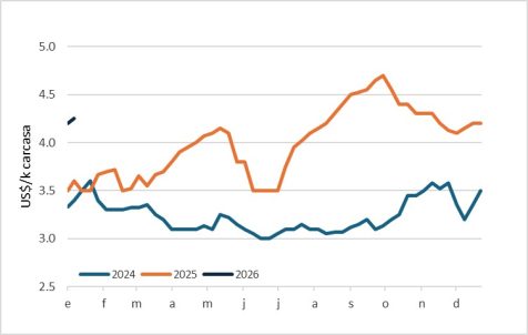 Macho Gordo En Paraguay