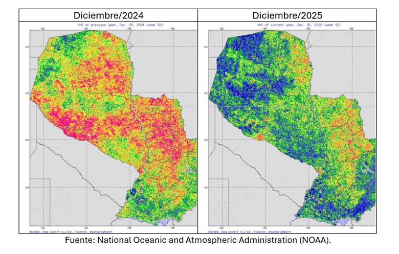 Paraguay Índice De Salud De La Vegetación (vhi)