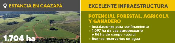 Banner Boletin Ref. 1230.jpg (1)