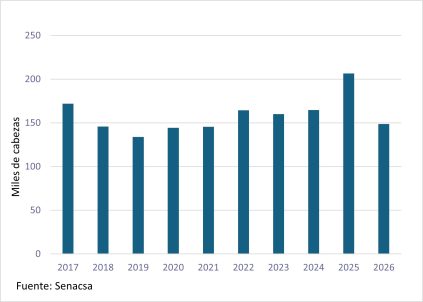 Faena De Vacunos En Enero