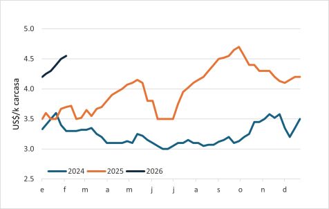 Macho Gordo En Paraguay