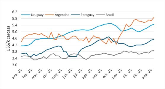 Precio Del Novillo En Mercosur