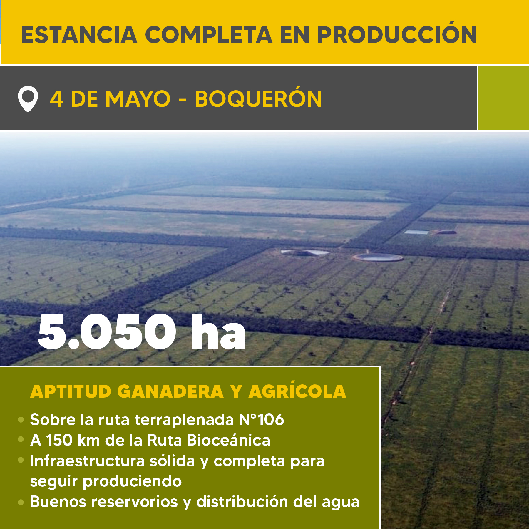 Ref. 647b 4 De Mayo Site 1800x1800.jpg