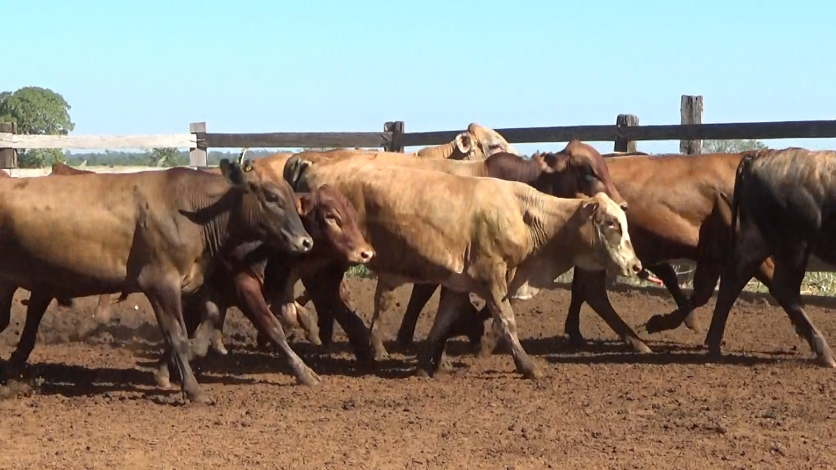 Feria de Plata ─ lote 27.3