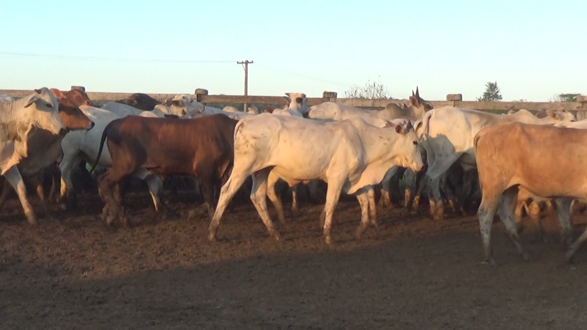 Feria de Plata ─ lote 30.3