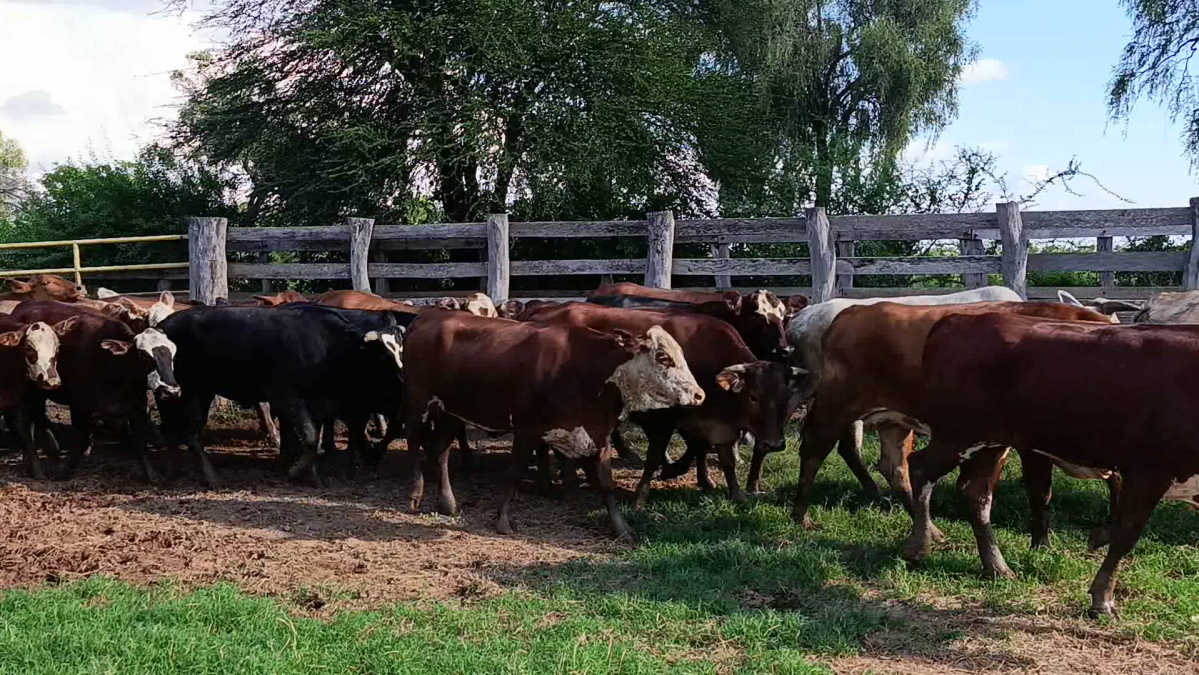 Feria de Plata ─ lote 47.2