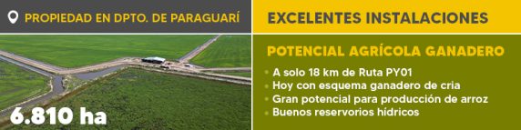 Banner Boletín Ref. 1243.jpg (1)